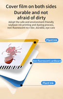 Card Reader & LCD Drawing Board – 255 English Cards