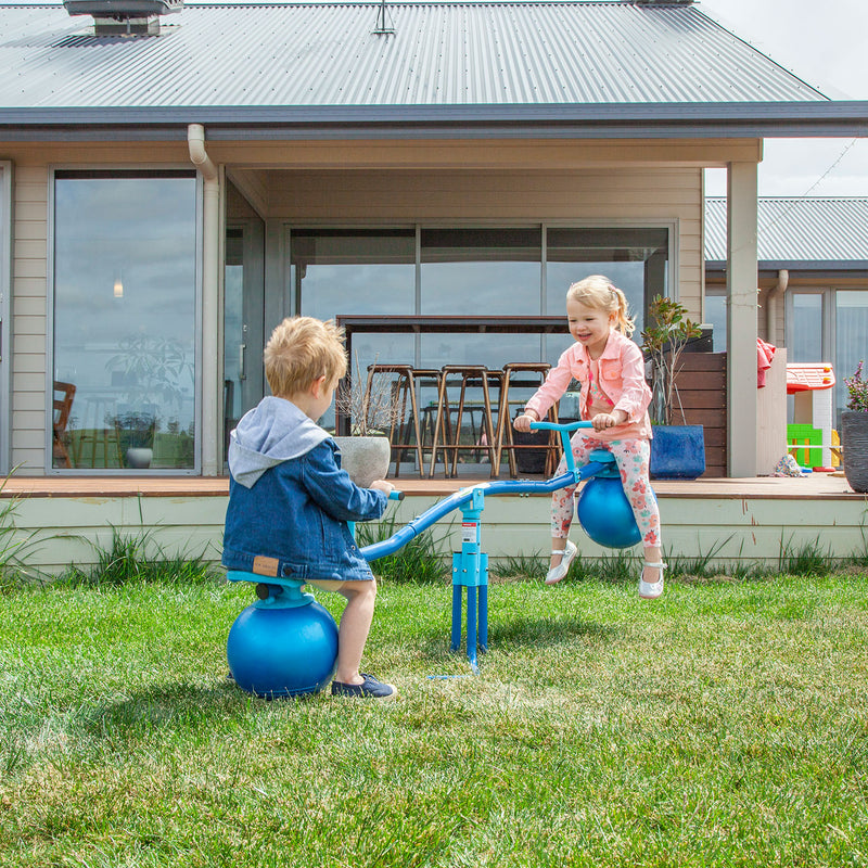 Lifespan Kids  Seesaw